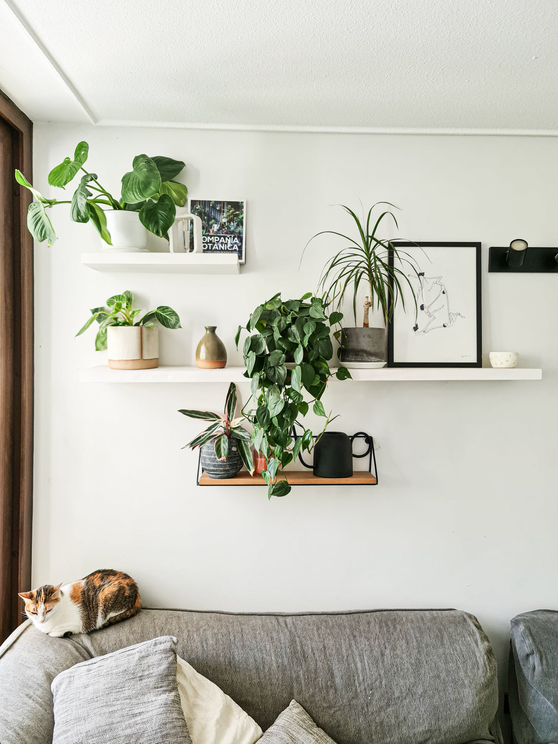 Introducción al diseño de interiores con plantas: abrirle las puertas de tu hogar a la naturaleza