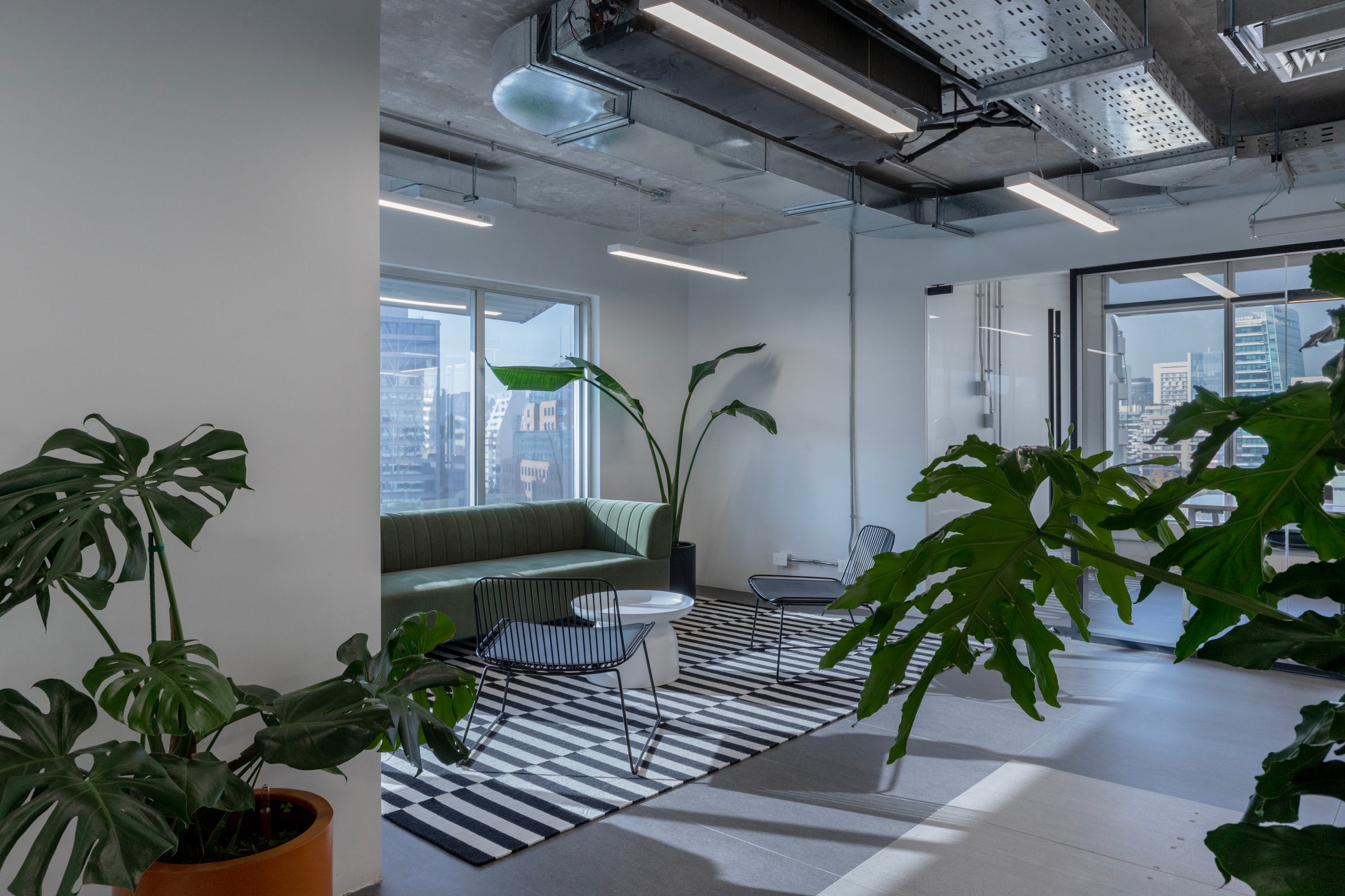 Instalación de plantas en maceteros en oficina corporativa - Casa Olivo