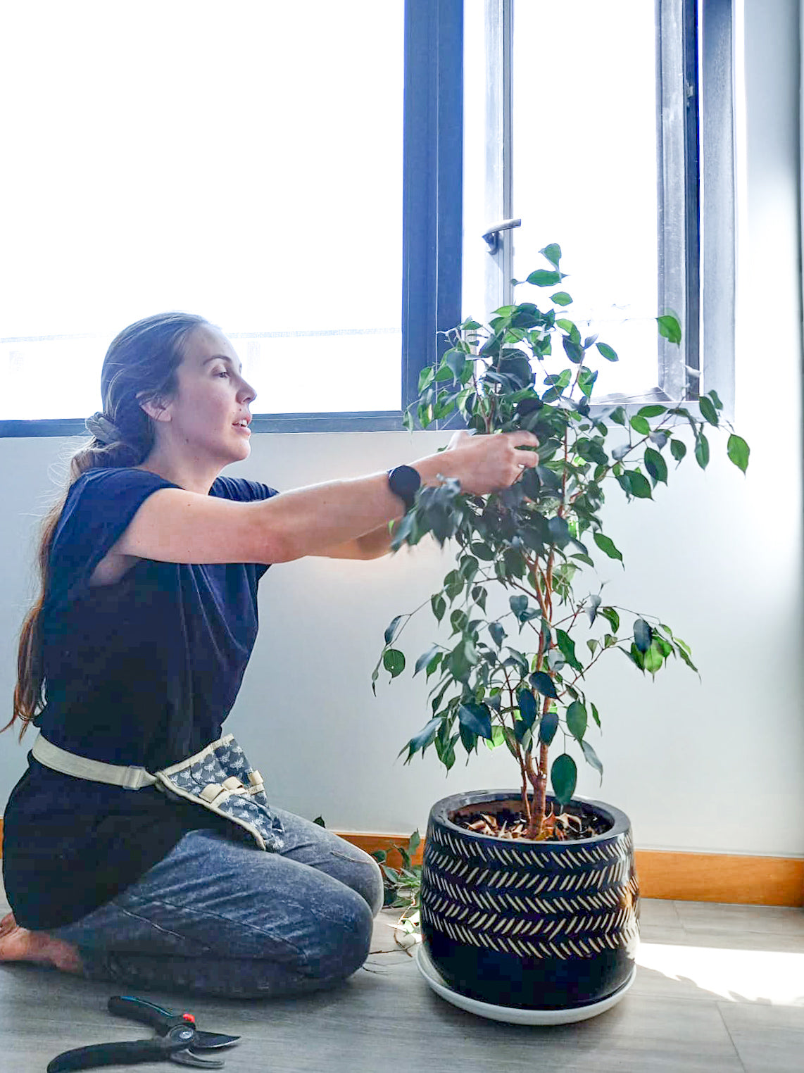 Cuidado de Plantas Online: Asesoría Personalizada + Plan de Acción 🌱